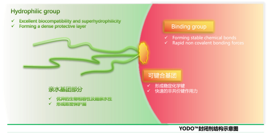 YODO 封闭剂结构示意图