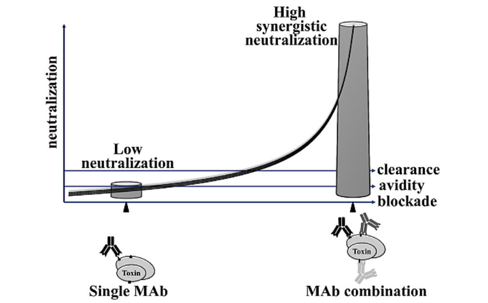 DOI： 10.3390/toxins7061854