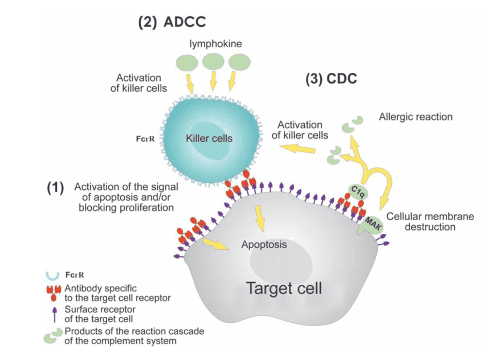 DOI：10.32607/20758251-2009-1-1-32-50