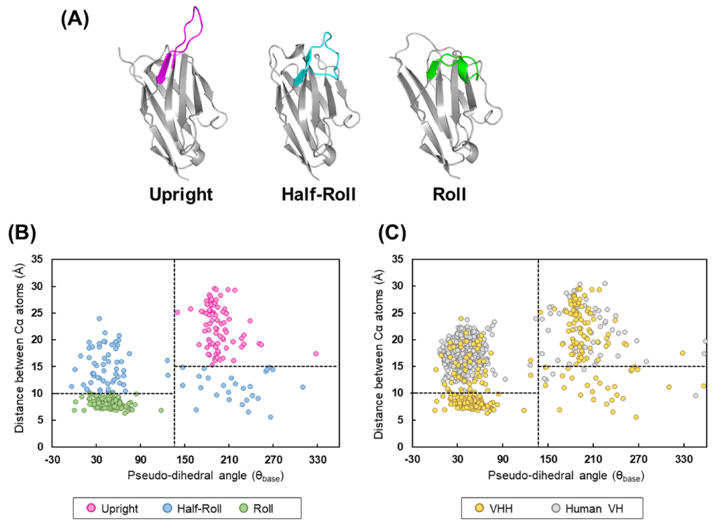 DOI：10.3390/antib11010010